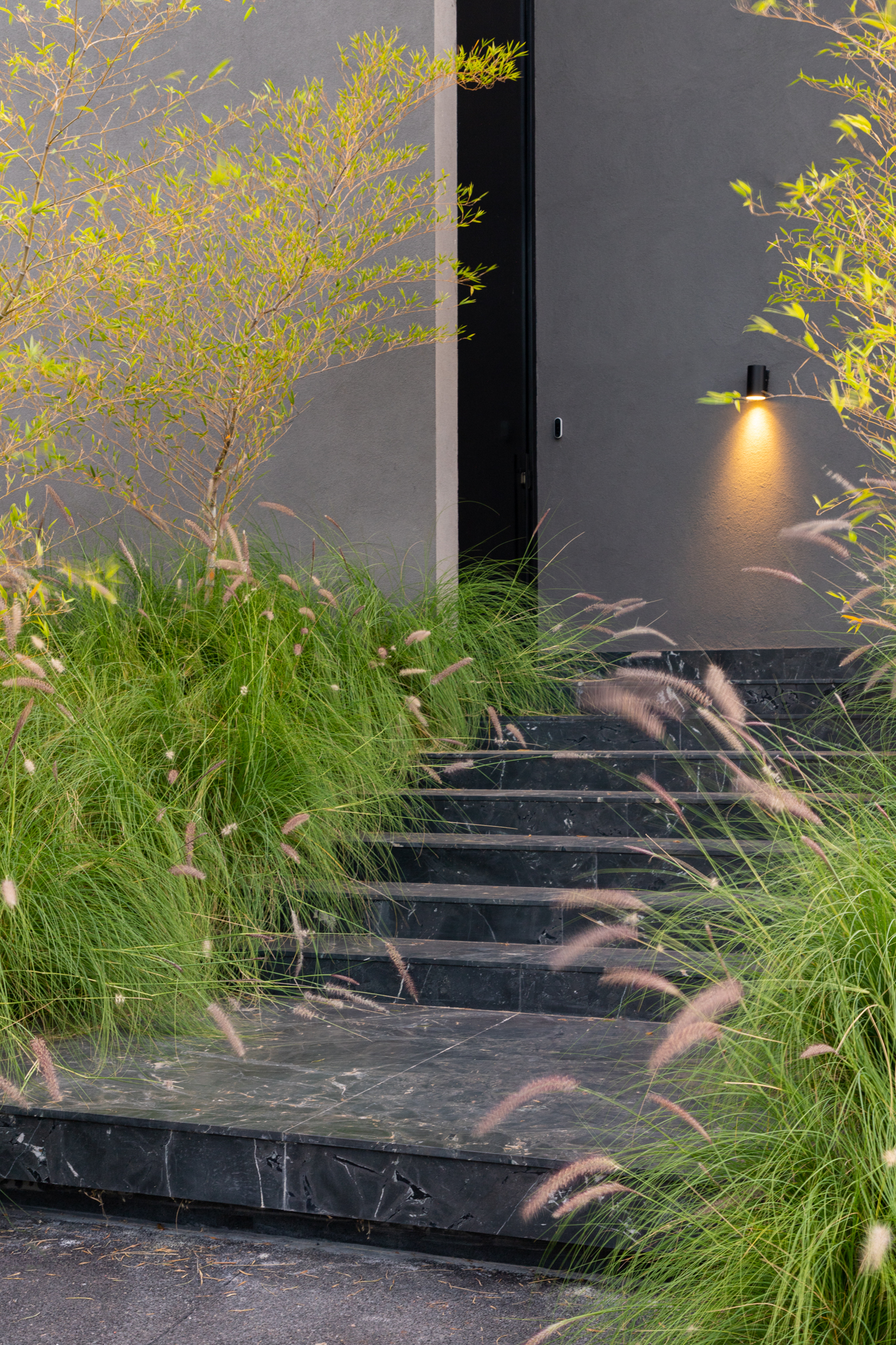 Escada de entrada entre a vegetação de Casa Contrappunto